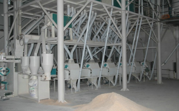 荞麦制粉加工设备